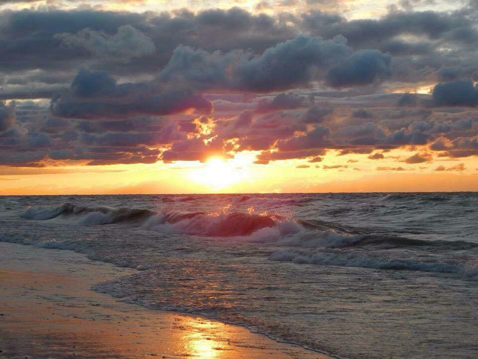 beaches